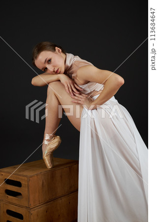 Ballerina in a dress 113684647
