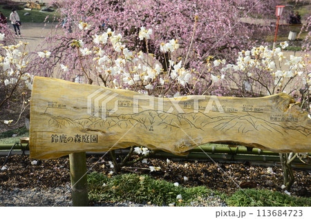 鈴鹿の森庭園 鈴鹿の森庭園 113684723