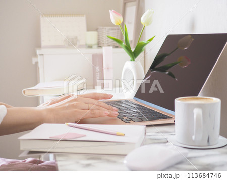 女性らしい可愛いインテリアの部屋でノートパソコンを使う女性の手元 女性らしい可愛いインテリアの部屋でノートパソコンを使う女性の手元 113684746