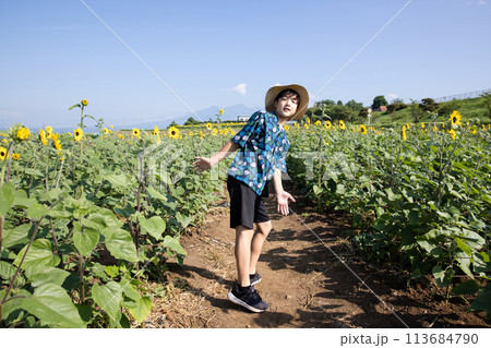 ひまわり畑を歩く子供 113684790