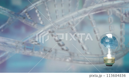 The Brain light bulb on dna background for education or creative inspiration concept 3d rendering. The Brain light bulb on dna background for education or creative inspiration concept 3d rendering. 113684836