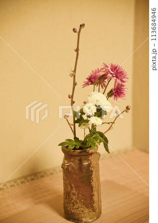 花瓶に生けられた花 花瓶に生けられた花 113684946