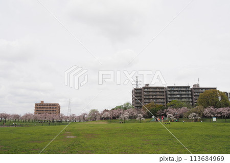 桜のある公園 桜のある公園 113684969