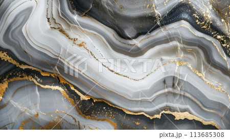 a close up of a black and white marble texture with gold veins 113685308