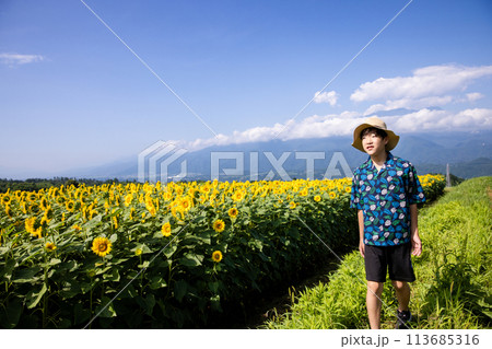 ひまわり畑を歩く子供 ひまわり畑を歩く子供 113685316