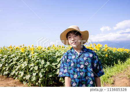 ひまわり畑を歩く子供 ひまわり畑を歩く子供 113685326