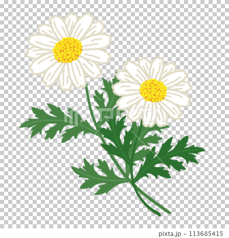 Illustration of Margaret 113685415