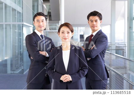 ビジネス 男女 ビジネス 男女 113685518