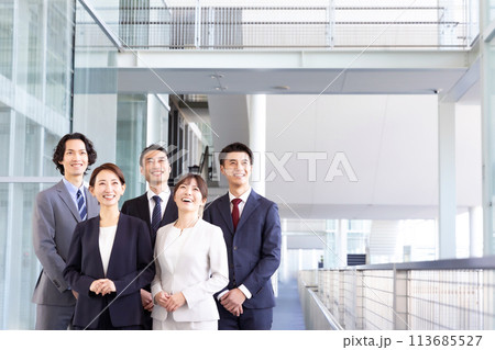 ビジネス 男女 ポートレート ビジネス 男女 ポートレート 113685527