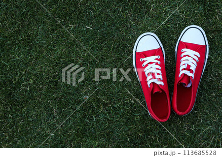 Stylish, red, women's sneakers on the grass 113685528
