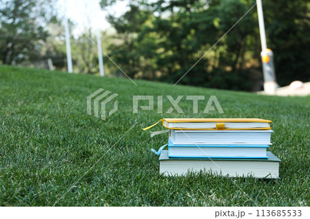 Books on the grass in the park Books on the grass in the park 113685533