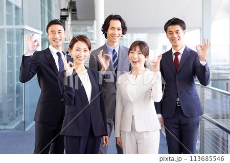 ビジネス　男女　ポートレート　OK 113685546
