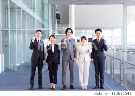 ビジネス　男女　ガッツポーズ 113685548