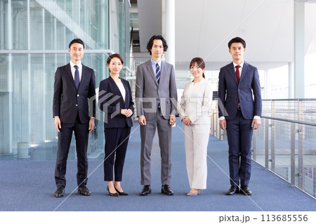 ビジネス 男女 ポートレート ビジネス 男女 ポートレート 113685556