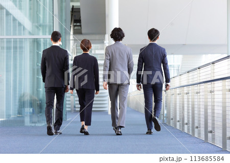 ビジネスパーソン　歩く　後ろ姿 113685584