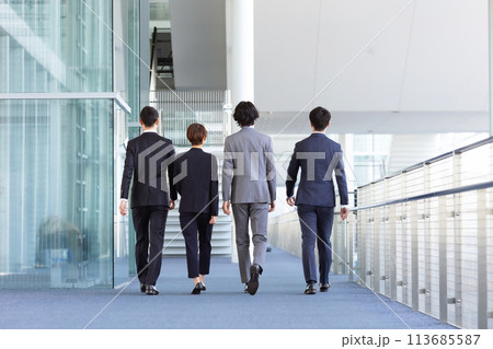 ビジネスパーソン　歩く　後ろ姿 113685587