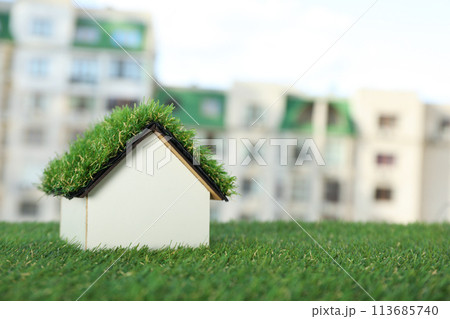 PNG,Decorative house with moss on the roof, isolated on white background PNG,Decorative house with moss on the roof, isolated on white background 113685740