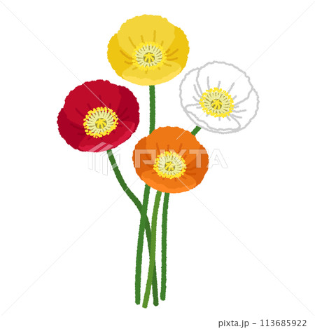 ポピーのイラスト 113685922
