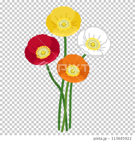 ポピーのイラスト 113685922