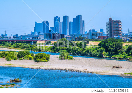 日本の東京都市景観 水鳥や緑の河川敷…二子玉川駅近くの多摩川。奥は武蔵小杉駅前のタワマン群＝17日 113685951