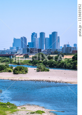 日本の東京都市景観 水鳥や緑の河川敷…二子玉川駅近くの多摩川。奥は武蔵小杉駅前のタワマン群=17日 日本の東京都市景観 水鳥や緑の河川敷…二子玉川駅近くの多摩川。奥は武蔵小杉駅前のタワマン群=17日 113685952