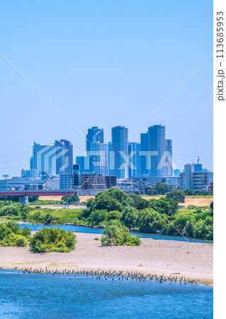 日本の東京都市景観 水鳥や緑の河川敷…二子玉川駅近くの多摩川。奥は武蔵小杉駅前のタワマン群=17日 日本の東京都市景観 水鳥や緑の河川敷…二子玉川駅近くの多摩川。奥は武蔵小杉駅前のタワマン群=17日 113685953