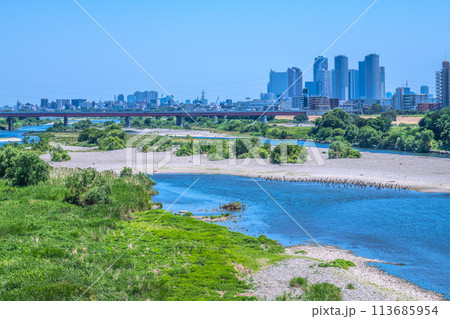 日本の東京都市景観 水鳥や緑の河川敷…二子玉川駅近くの多摩川。奥は武蔵小杉駅前のタワマン群＝17日 113685954