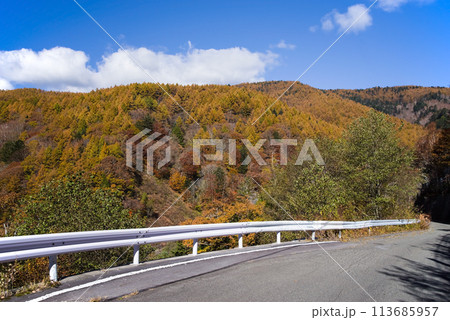 紅葉ドライブ《岐阜県野麦峠周辺》 113685957