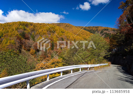 紅葉ドライブ《岐阜県野麦峠周辺》 紅葉ドライブ《岐阜県野麦峠周辺》 113685958