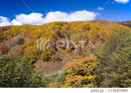 紅葉ドライブ《岐阜県野麦峠周辺》 113685960