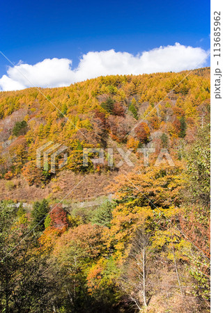 紅葉ドライブ《岐阜県野麦峠周辺》 113685962
