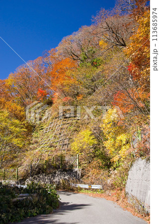 紅葉ドライブ《岐阜県野麦峠周辺》 113685974