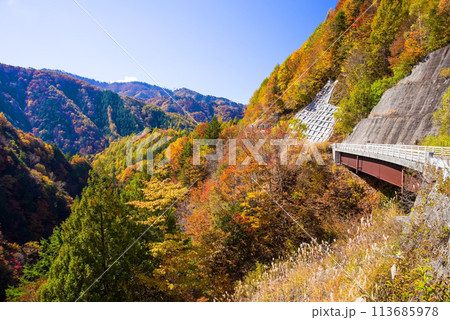紅葉ドライブ《岐阜県野麦峠周辺》 紅葉ドライブ《岐阜県野麦峠周辺》 113685978