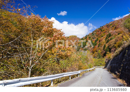紅葉ドライブ《岐阜県野麦峠周辺》 113685980