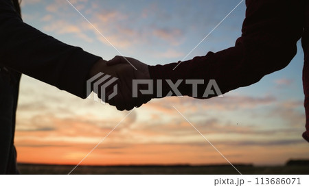 Handshake at sunset, silhouette in park field. Making deal teamwork cooperation successful joint business partnership of two people, farmers greeting saying goodbye showing respect with hand shaking. 113686071