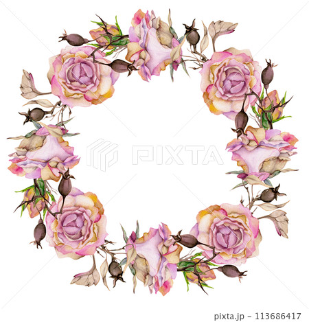 Hand drawn watercolor illustration shabby boho botanical flowers leaves. Rose hip dogrose autumn branches buds lunaria pink pastel. Wreath frame isolated white background. Design wedding, love cards 113686417