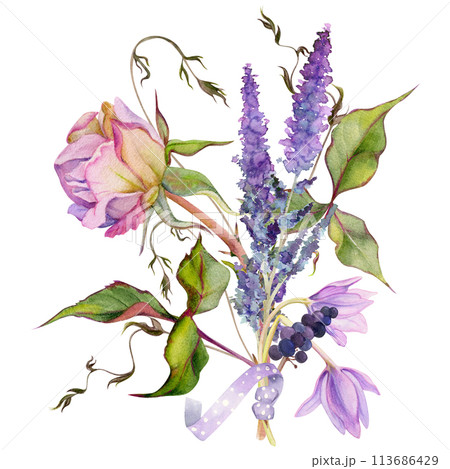 Hand drawn watercolor illustration shabby boho botanical flowers leaves. Rose ivy tendrils crocus saffron veronica berries ribbon. Composition isolated on white background. Design wedding, love cards Hand drawn watercolor illustration shabby boho botanical flowers leaves. Rose ivy tendrils crocus saffron veronica berries ribbon. Composition isolated on white background. Design wedding, love cards 113686429