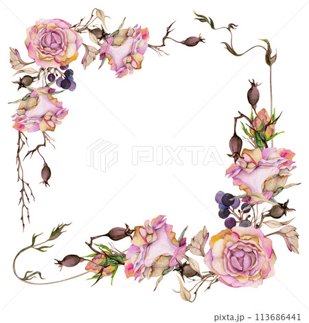 Hand drawn watercolor illustration shabby boho botanical flowers leaves. Dusty rose hip autumn branches indigo berries pink pastel. Corner frame isolated white background. Design wedding, love cards 113686441