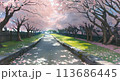 春爛漫：桜吹雪が舞う静謐な遊歩道 113686445