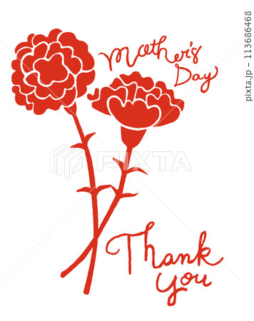 母の日のカーネーションと文字のイラスト 113686468