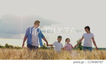 Smiling parents and children going at dry wheat countryside sunny sky field together. Happy mother father daughter son holding hands walking surrounded by agriculture nature scenery cloudscape horizon 113686787