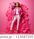 Doll style, barbie style girl. Beautiful stylish girl solated on studio background. Fashion photo 113687205