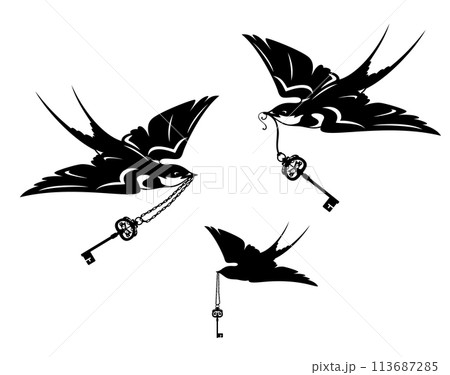 flying swallow birds holding antique skeleton key vector silhouette design set flying swallow birds holding antique skeleton key vector silhouette design set 113687285
