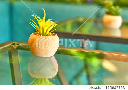 Flower pot with plant on a table in a cafe 113687538