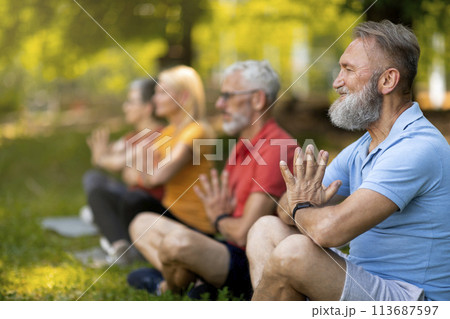 Group of focused seniors practicing yoga in serene park setting Group of focused seniors practicing yoga in serene park setting 113687597