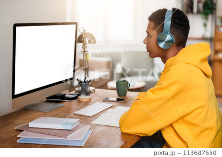 Focused person at computer in home office 113687650