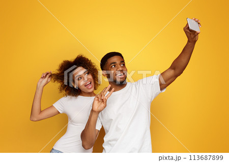 Happy african-american man and woman making selfie 113687899