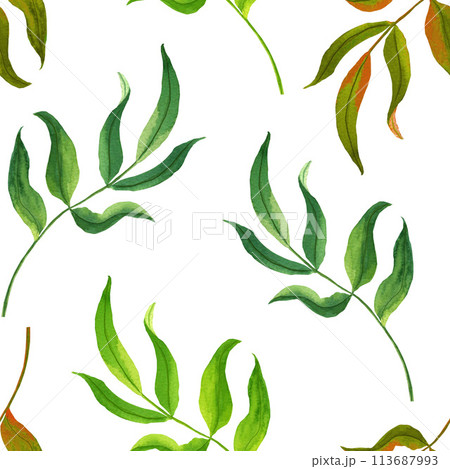 Watercolor seamless pattern with branches and leaves. Hand painted leaves on white background. 113687993