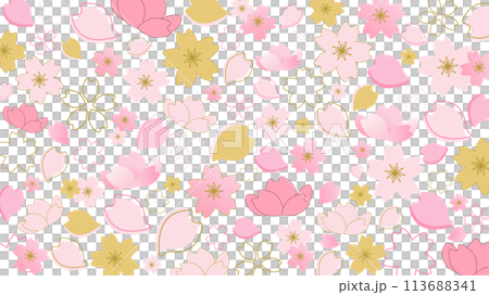 白地の和風なさくらのベクター背景イラスト素材【横長】 113688341