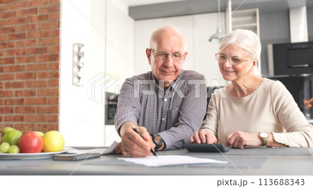 Senior couple doing bill calculations at home 113688343